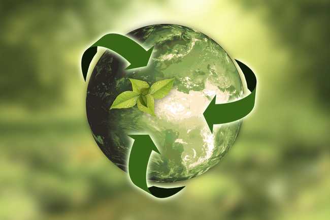 Corporate sustainability